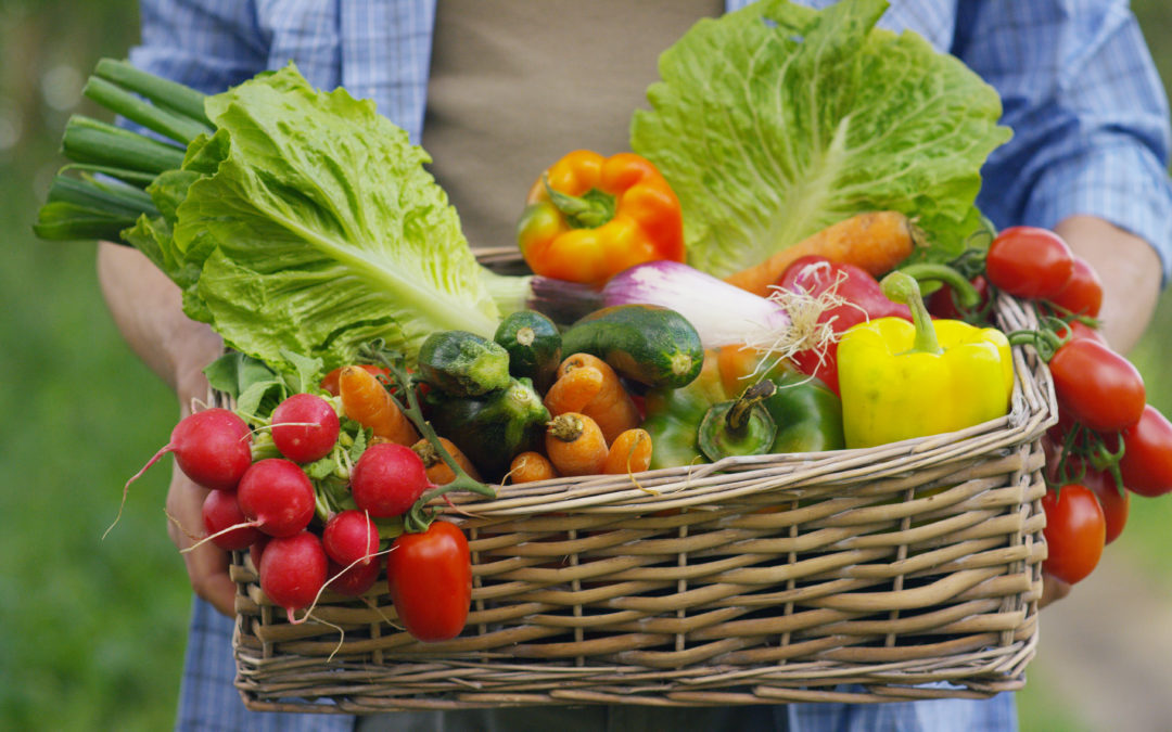 Image of person holding a basket full of produce in a garden.