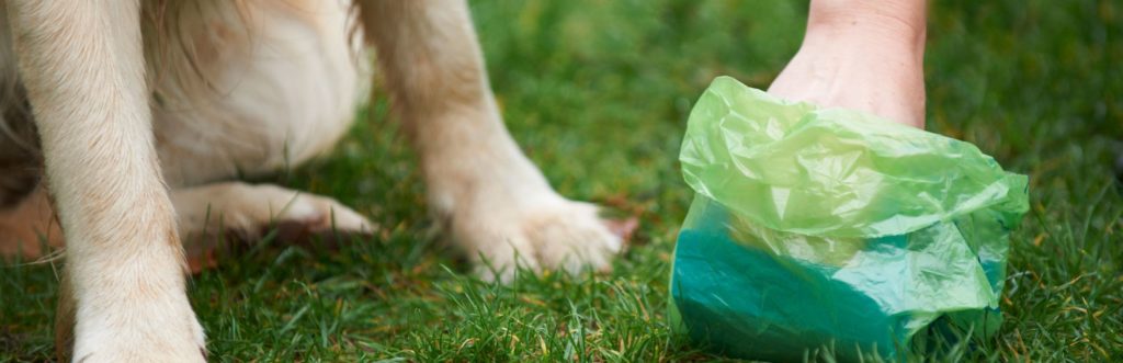 A responsible dog owner makes sure their dog isn't a nuisance to others or causing damages. 